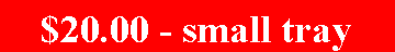 Text Box: $20.00 - small tray